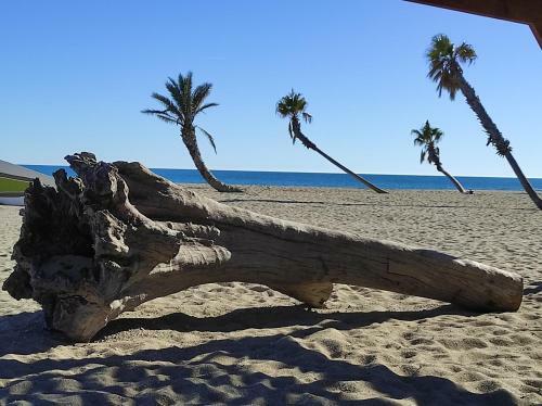 Apartamento Vue Mer Panoramique Wifi Gratuit