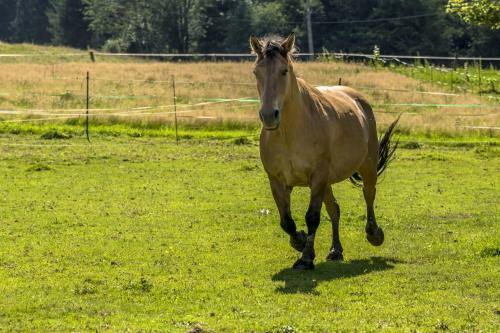 Bed & Breakfast Chambres D'h�tes "la Landre"