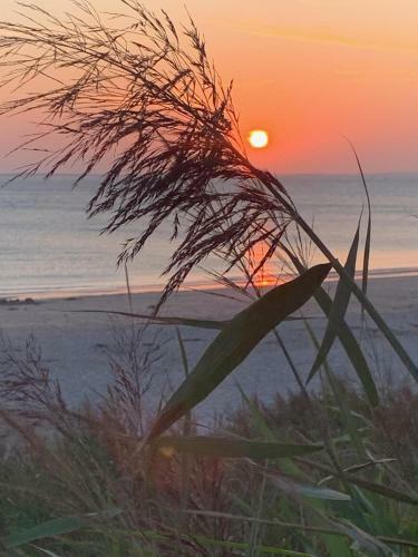 Pied � Terre Pour Des Vacances Au Bord de La Mer