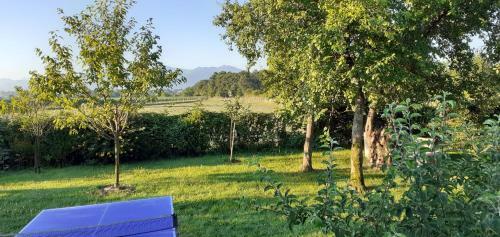 Les Petits Chemins