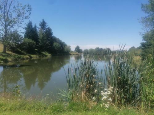 Bed & Breakfast La Belle �poque
