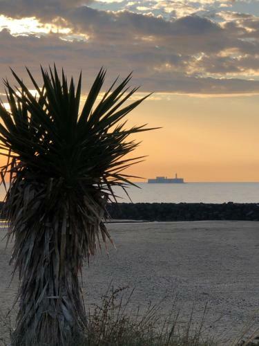 Apartamento Les Ptits Loups Grau D'agde