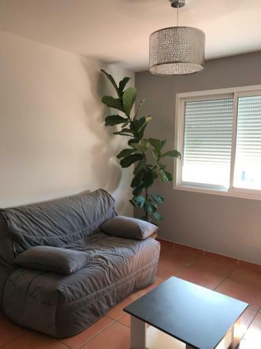 Appartement � La Mer