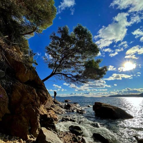 Apartamento R�sidence Le St James