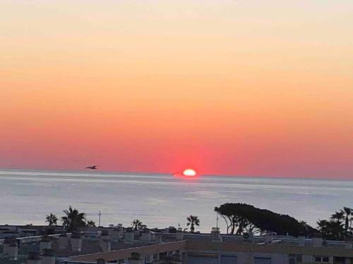 Apartamento Appartement Vue Mer Au Lavandou