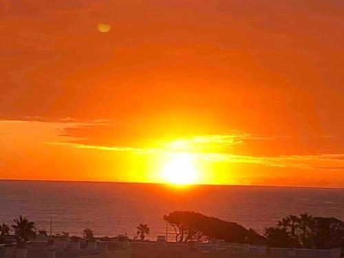 Apartamento Appartement Vue Mer Au Lavandou