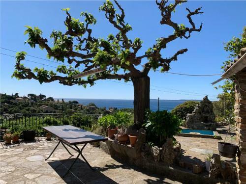 Villa Proven�ale Avec Vue Mer Panoramique