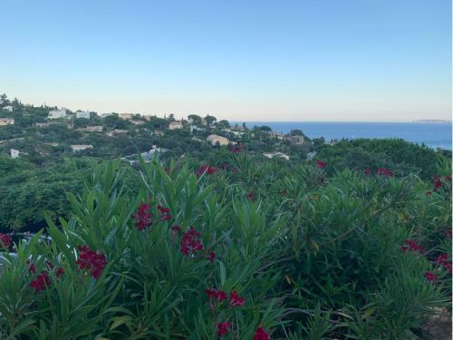 Villa Proven�ale Avec Vue Mer Panoramique