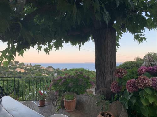 Villa Proven�ale Avec Vue Mer Panoramique