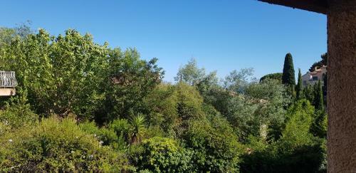 Apartamento Studio Avec Terrasse
