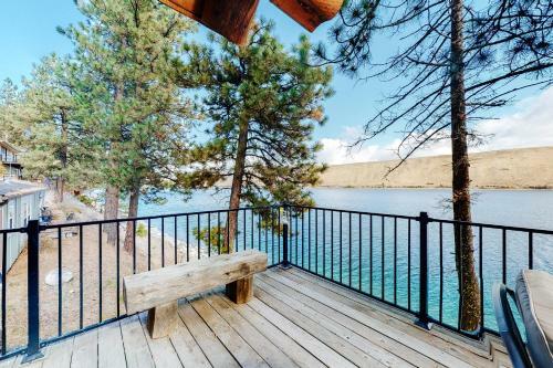 Ponderosa Pines