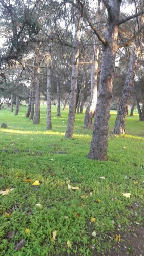 Apartamento Richelieu 4 Cap Agde