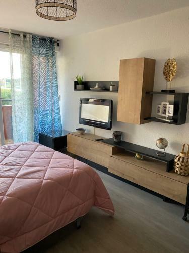 Apartamento Studio Du Cap D Agde Vue Port