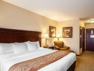 Hotel Comfort Inn & Suites
