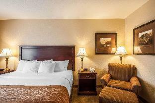 Hotel Comfort Inn & Suites