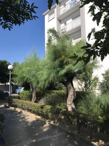 Apartamento Le Plein Sud