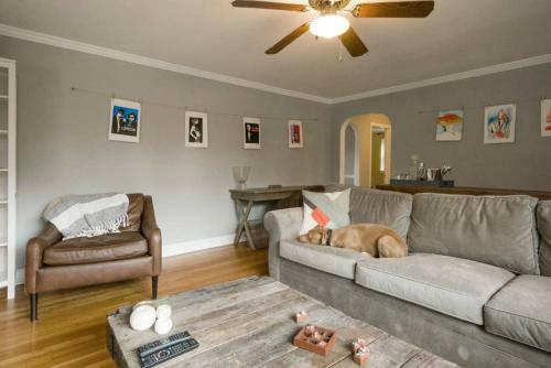 K9 Cottage @ Puppad Mainline