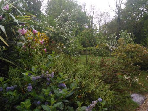 Bed & Breakfast Les Muscaris