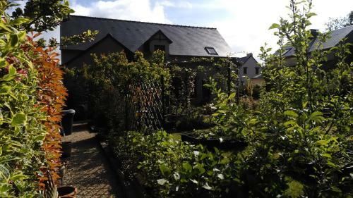 Bed & Breakfast Les Muscaris