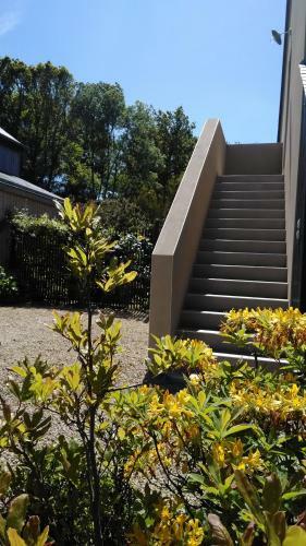 Bed & Breakfast Les Muscaris