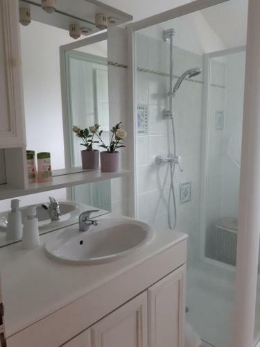 Maison Ruisseau L'eau Blanche