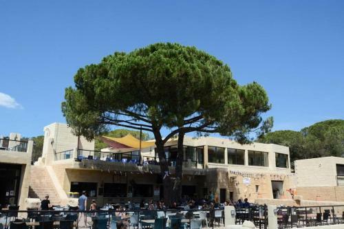 Mobil-home 6/8 Personnes