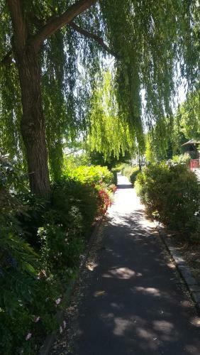Bed & Breakfast Les Pingouins De La Marne