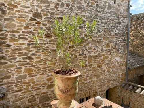 Apartamento Paradis De Provence, Wohnungen