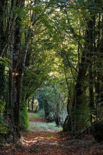 Domaine Des Roches Blanches - Site Class�