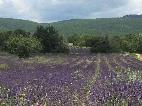 G�te Coquelicots