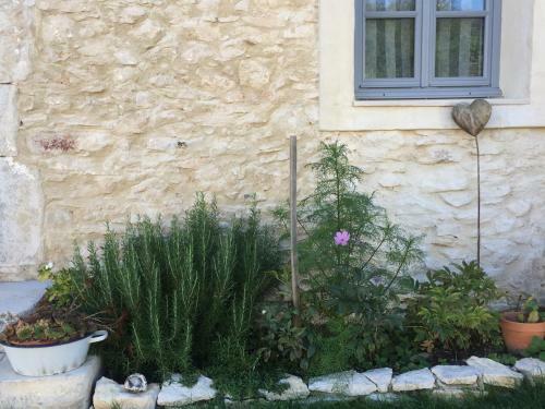 G�te Coquelicots
