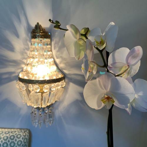 Bed & Breakfast Domaine Du Plessis