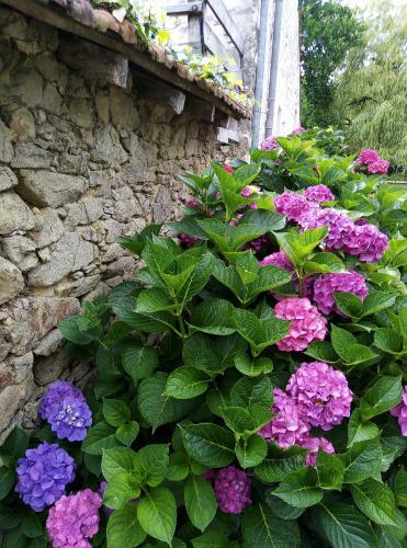 Bed & Breakfast Chambre D'h�tes La Bardini�re