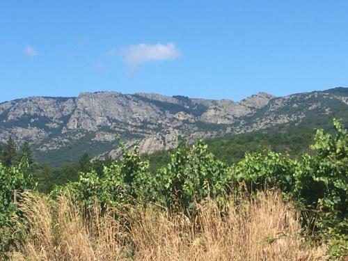 La Petite Adresse De Rose Maison De Vacances