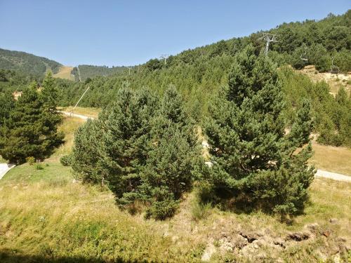Apartamento Agr�able Appartement-r�sidence Le Panoramic