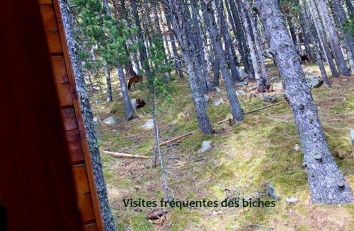 Chalet Vue Sous Cet Angles