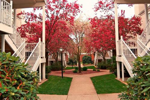 Hotel Residence Inn Providence Warwick