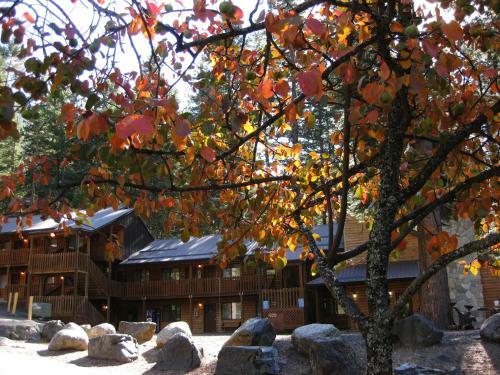 Eagle Cap Chalets