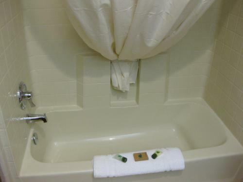 Hotel Eagle's View Inn & Suites