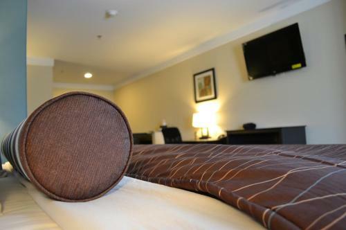 Hotel Red River Inn And Suites