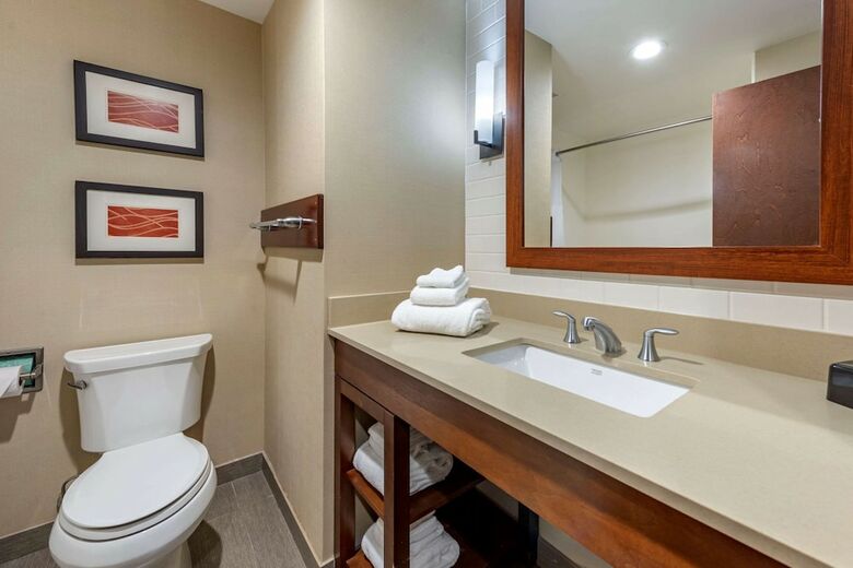 Hotel Comfort Inn & Suites Pittsburgh