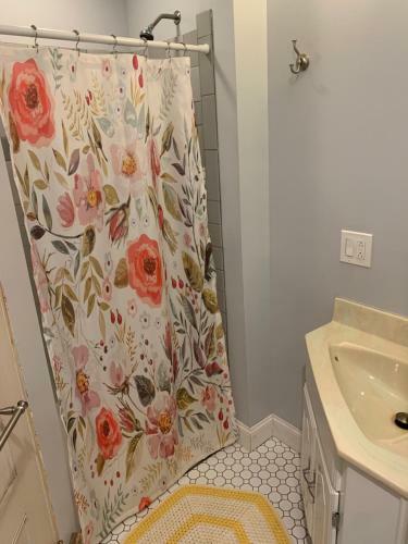 Beautiful Northside Victorian - Walking Distance From Stadiums