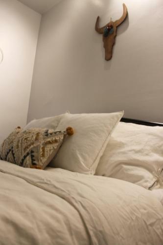 Accentuated Apartment In Manayunk