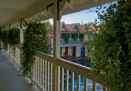 Hotel Silverton Inn & Suites