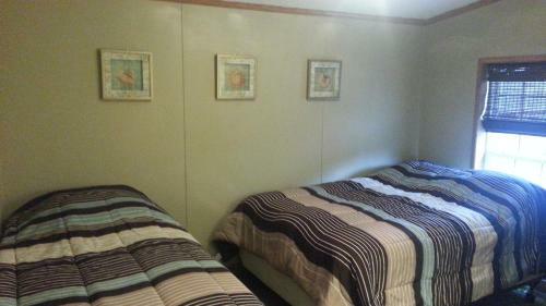 Island Club Rentals