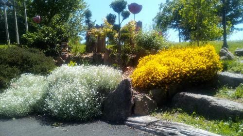 Bed & Breakfast Au Petit Bignon