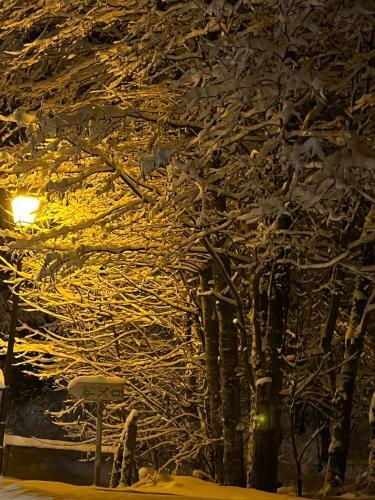 Apartamento Les Cimes D'or Mont Blanc