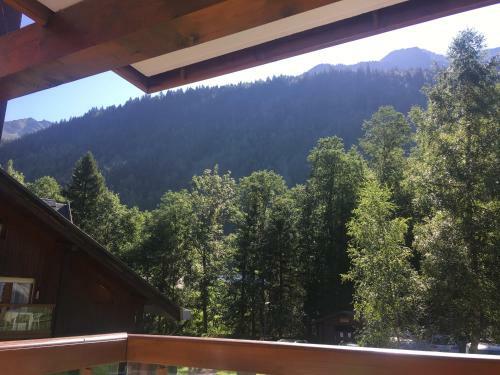 Apartamento Les Pierres Blanches Mont Blanc
