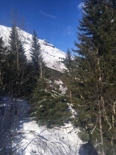 Apartamento Les Pierres Blanches Mont Blanc