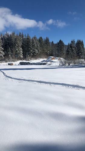 Apartamento La Cabane Du Mont De L'herba